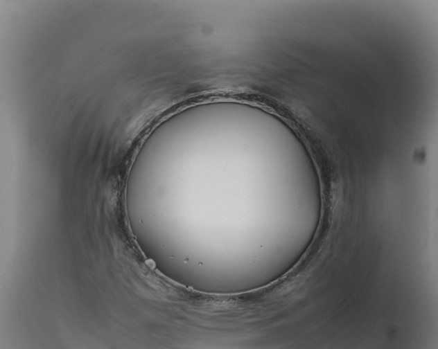 X0000112401257200908281741