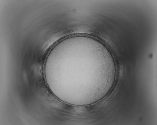 X0000112401258200908281741