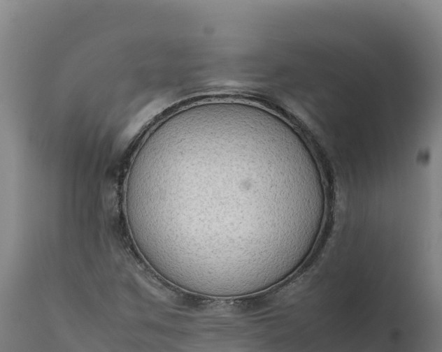 X0000112401259200908281741