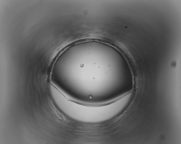 X0000112401260200908281741