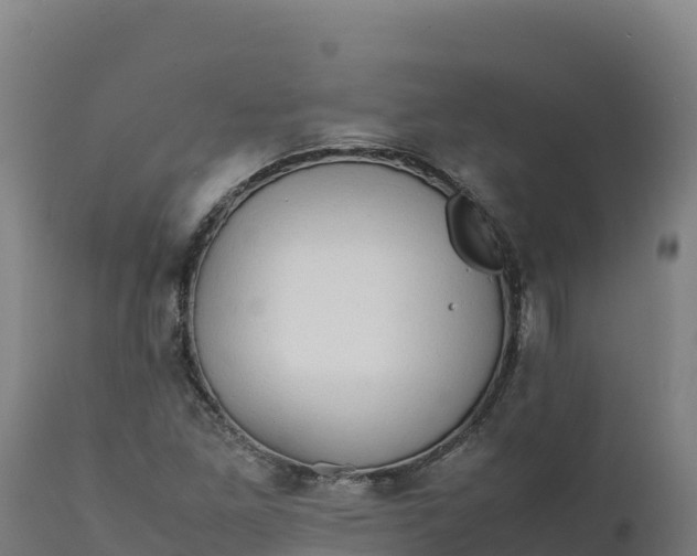 X0000112401261200908281741