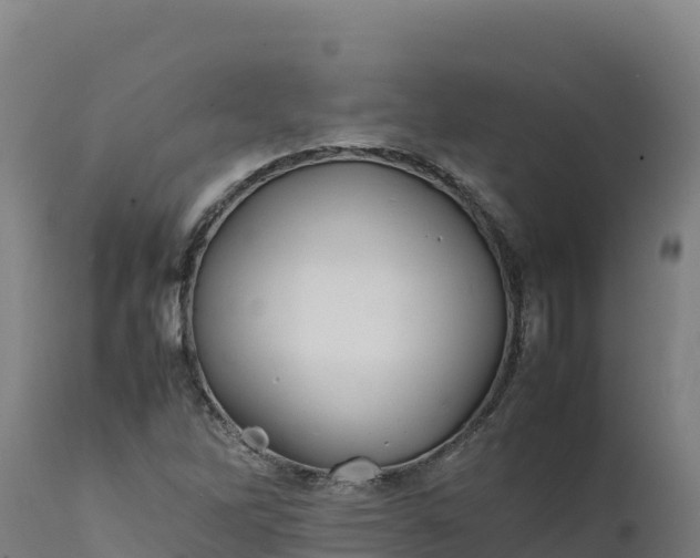 X0000112401262200908281741