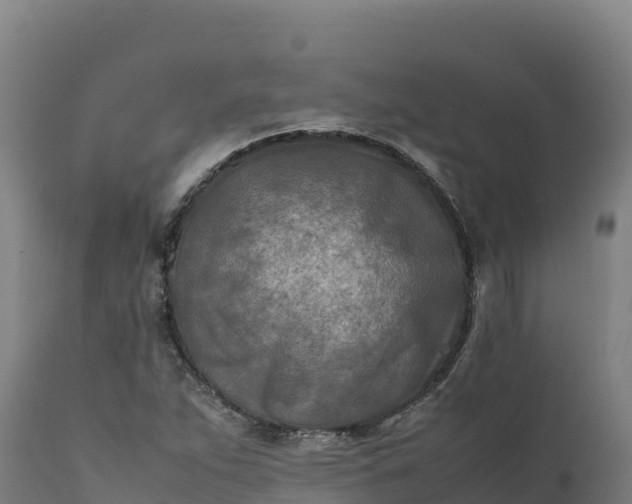 X0000112401263200908281741