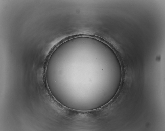 X0000112401264200908281741