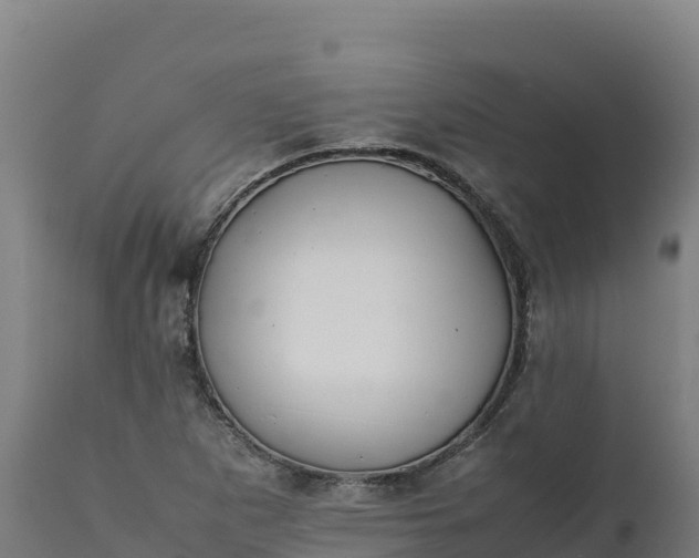 X0000112401265200908281741
