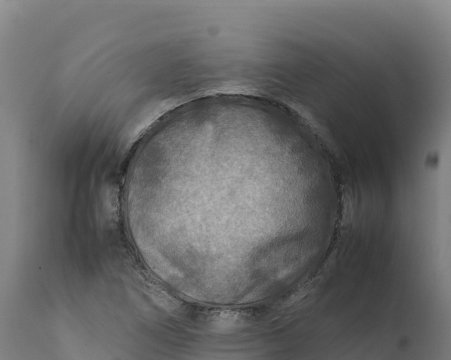 X0000112401266200908281741