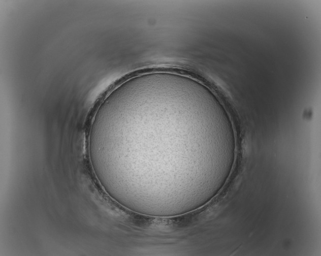 X0000112401267200908281741