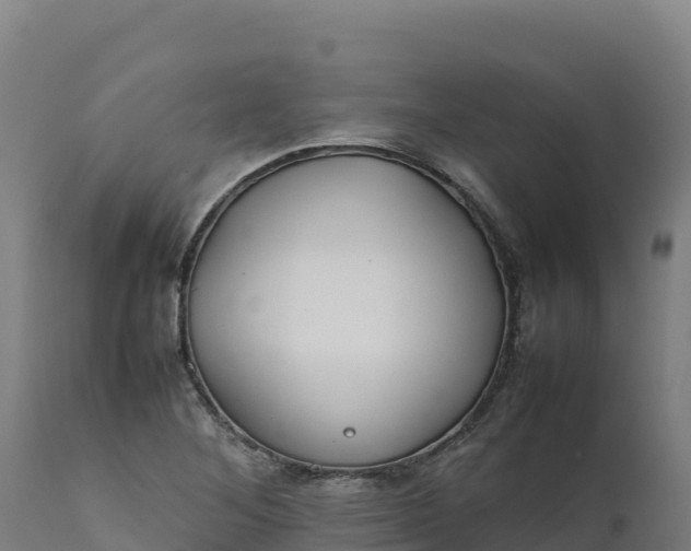 X0000112401268200908281741