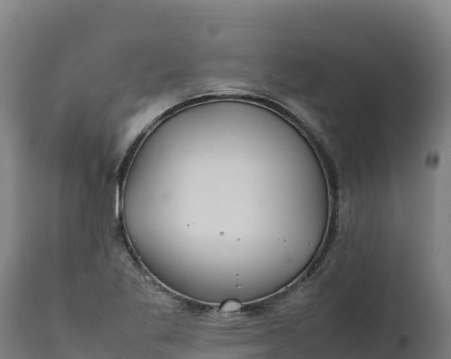 X0000112401269200908281741
