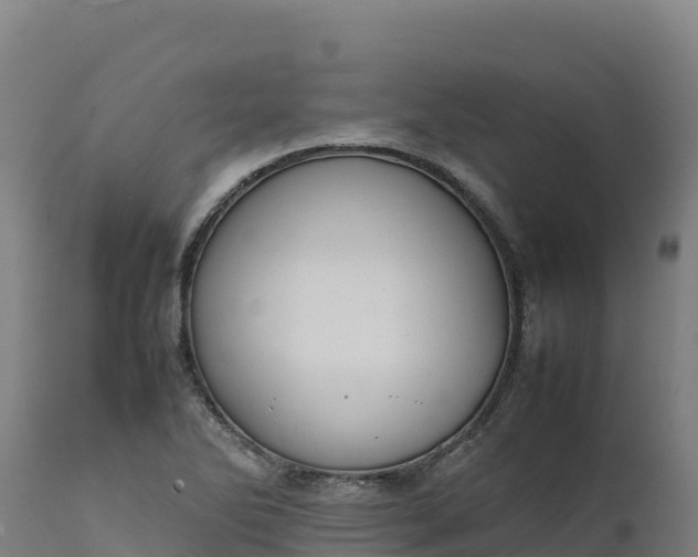 X0000112401270200908281741