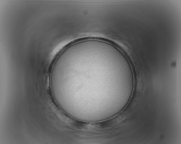 X0000112401271200908281741