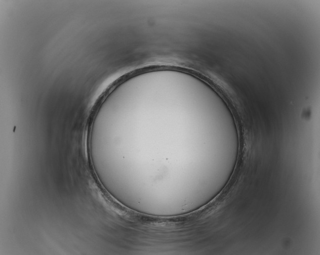 X0000112401272200908281741