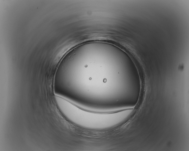 X0000112401273200908281741