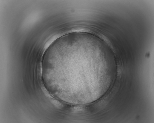 X0000112401274200908281741