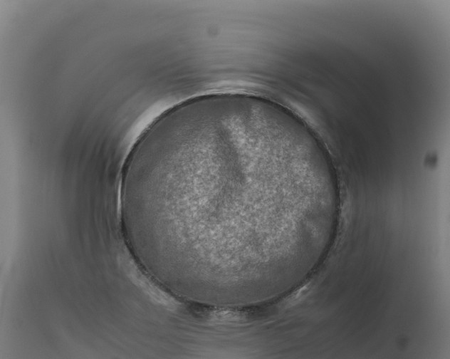 X0000112401275200908281741