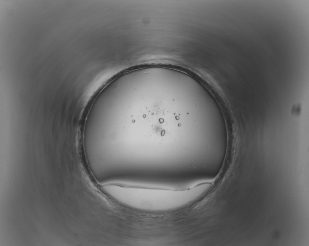 X0000112401277200908281741