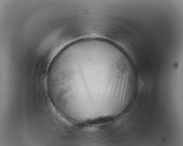 X0000112401278200908281741