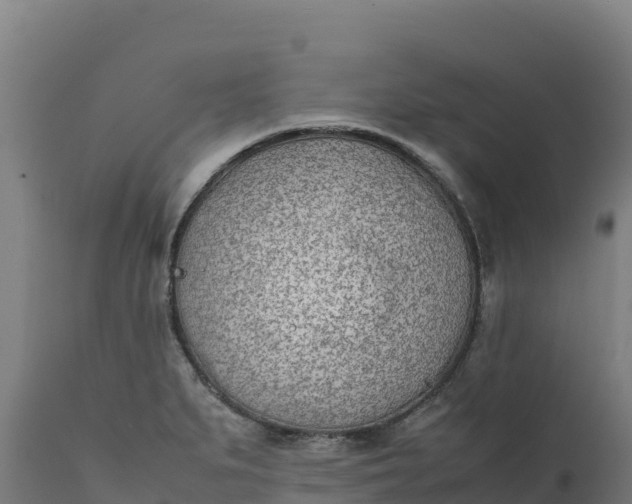 X0000112401279200908281741