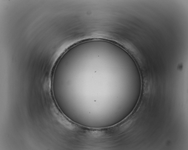 X0000112401280200908281741