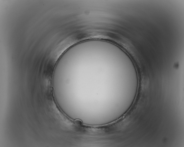 X0000112401281200908281741