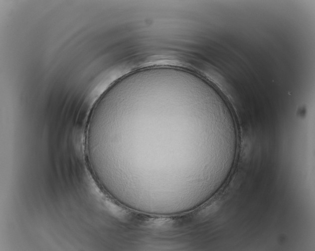 X0000112401282200908281741