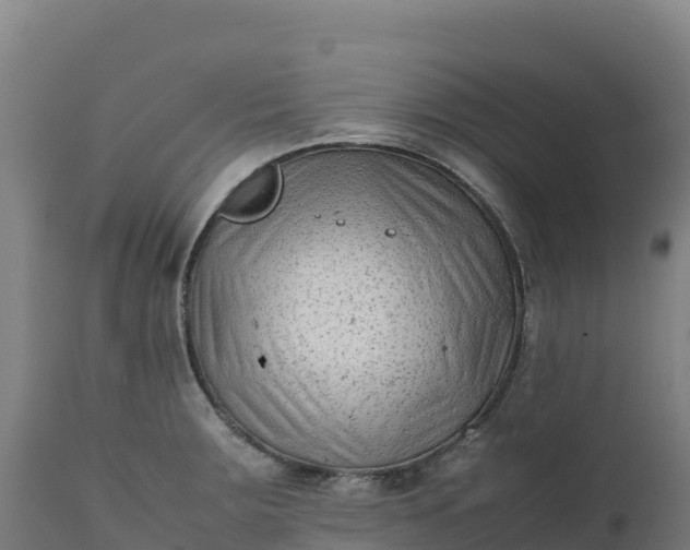 X0000112401283200908281741