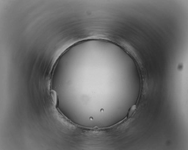 X0000112401284200908281741