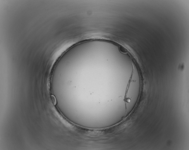 X0000112401285200908281741