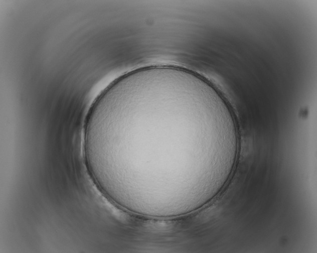 X0000112401286200908281741