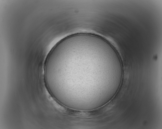 X0000112401287200908281741