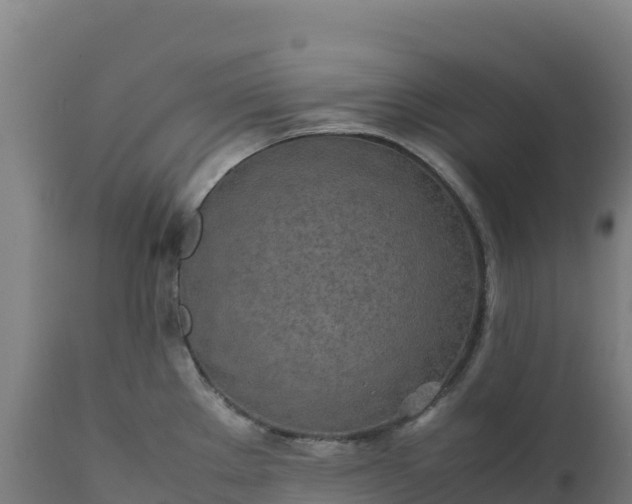 X0000112401289200908281741
