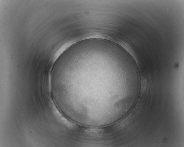 X0000112401290200908281741