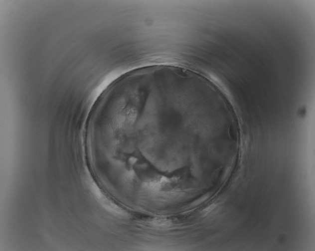 X0000112401291200908281741