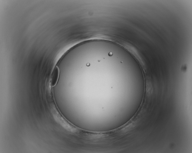 X0000112401292200908281741