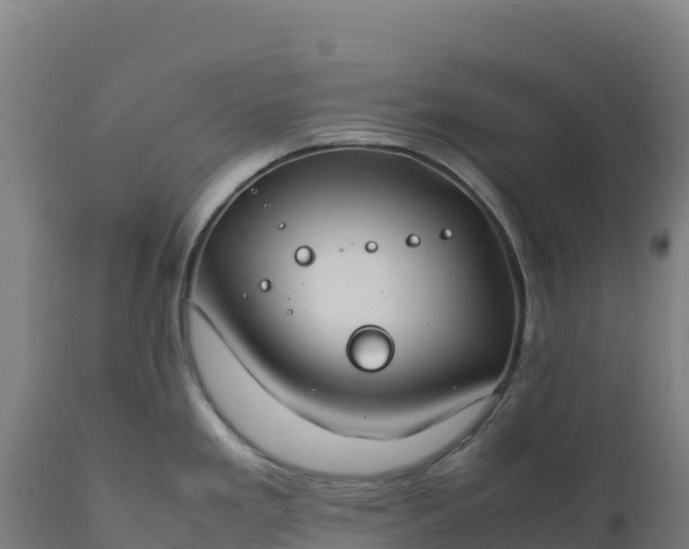 X0000112401293200908281741