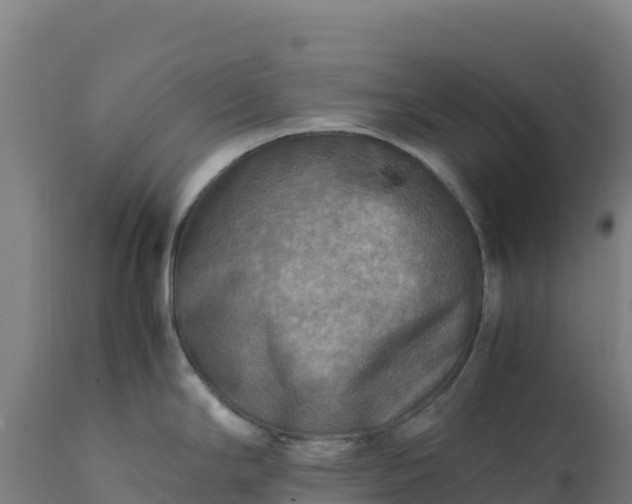 X0000112401294200908281741