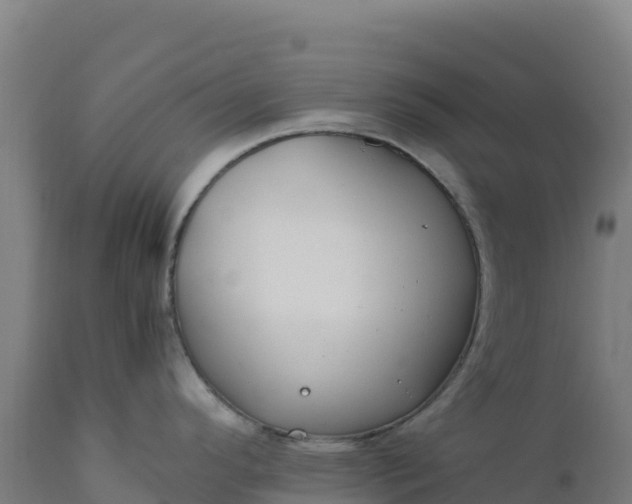 X0000112401296200908281741