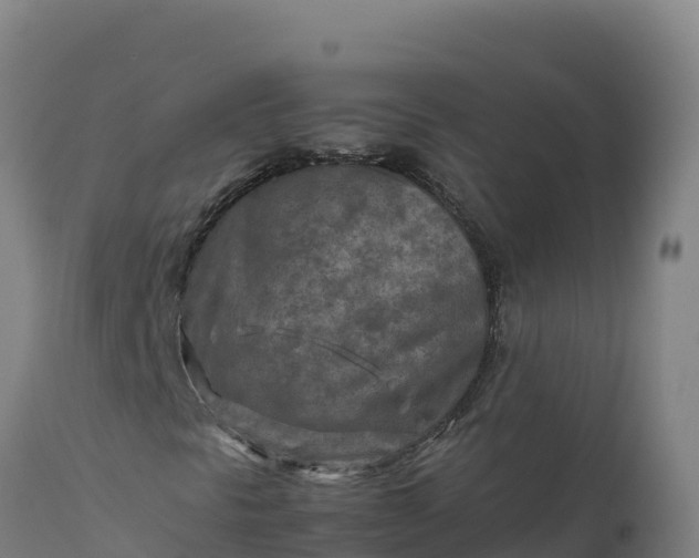 X0000112401297200908281740
