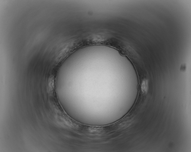 X0000112401299200908281740