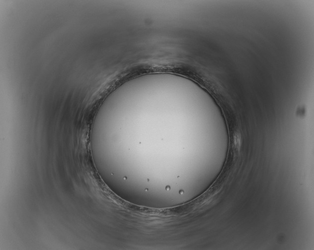 X0000112401300200908281740
