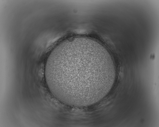 X0000112401301200908281740