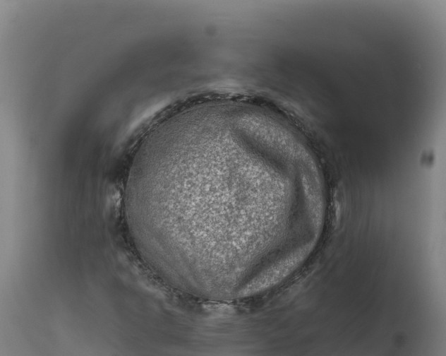 X0000112401302200908281740