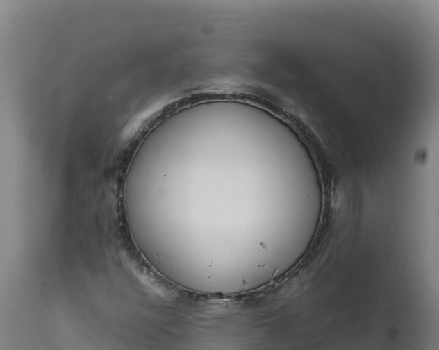 X0000112401304200908281740