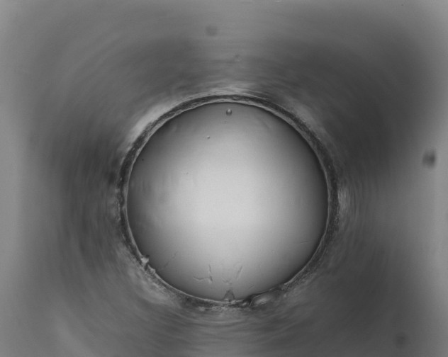 X0000112401308200908281740