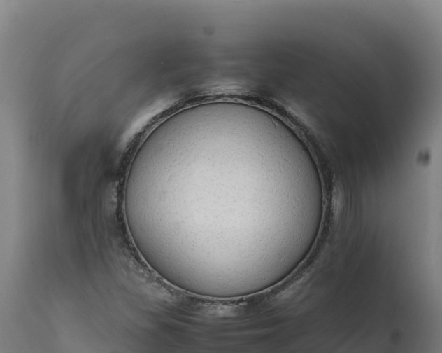 X0000112401309200908281740