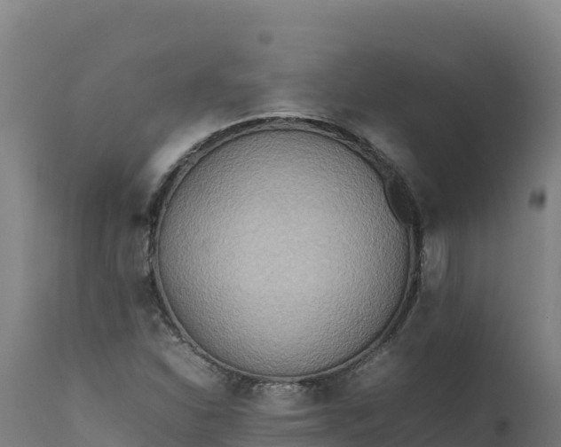 X0000112401310200908281740