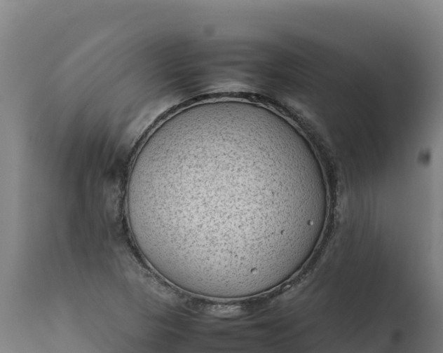 X0000112401313200908281740