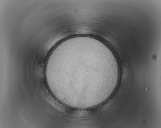 X0000112401314200908281740