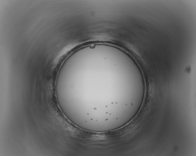 X0000112401315200908281740