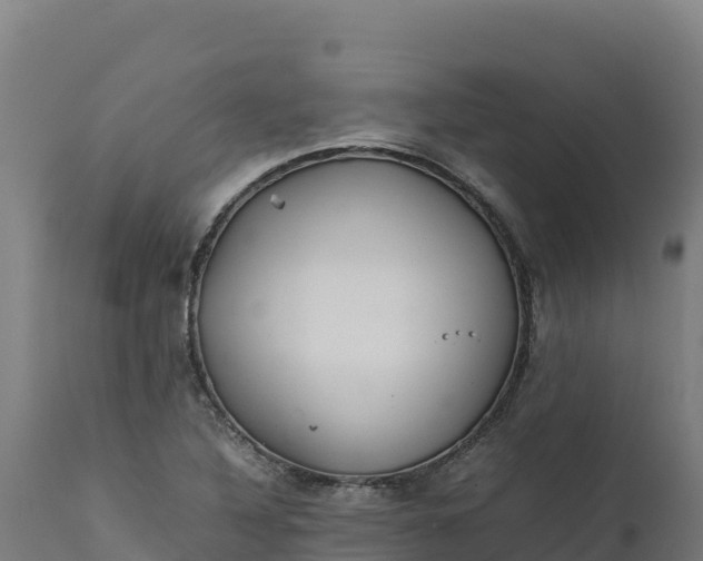X0000112401316200908281740